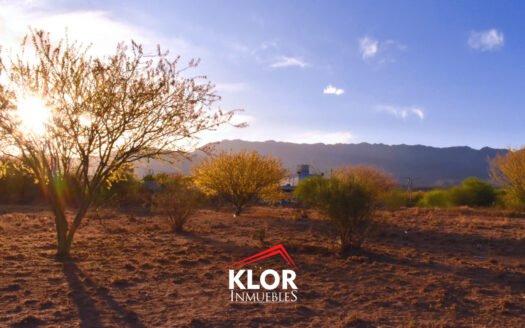 Terrenos en Venta en Zona Norte – Barrio Los Naranjos